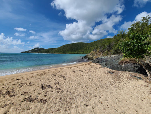 Reef Bay Trail St. John — The Hike With Petroglyphs Ruins and a Secret Beach