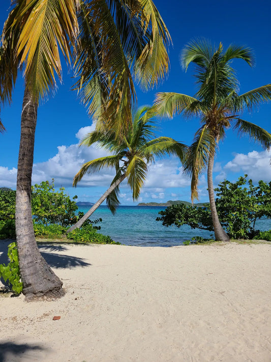 Sapphire Beach St. Thomas USVI — white sand, palm trees, turquoise Caribbean water