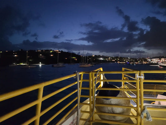 View from the St. Thomas to St. John ferry at night — yellow railing with Cruz Bay harbor lights in the background